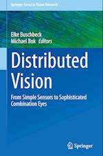 Distributed Vision