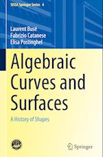 Algebraic Curves and Surfaces