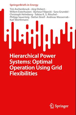 Hierarchical Power Systems: Optimal Operation using Grid Flexibilities