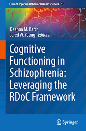 Cognitive Functioning in Schizophrenia:  Leveraging the RDoC Framework