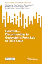 GeomInt – Discontinuities in Geosystems from Lab to Field Scale