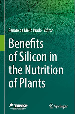 Benefits of Silicon in the Nutrition of Plants