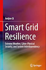 Smart Grid Resilience