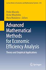 Advanced Mathematical Methods for Economic Efficiency Analysis