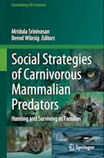 Social Strategies of Carnivorous Mammalian Predators