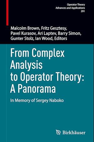 From Complex Analysis to Operator Theory: A Panorama