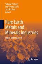 The Rare Earth Metals and Minerals Industry