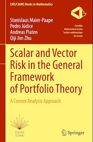 Scalar and Vector Risk in the General Framework of Portfolio Theory