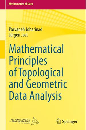 Mathematical Principles of Topological and Geometric Data Analysis