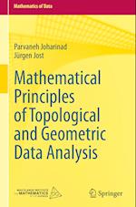 Mathematical Principles of Topological and Geometric Data Analysis