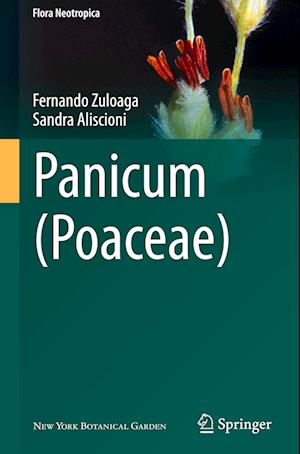 Panicum (Poaceae)