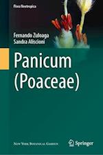 Panicum (Poaceae)