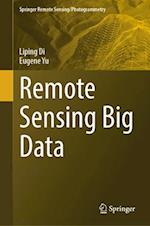 Remote Sensing Big Data