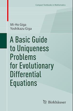 A Basic Guide to Uniqueness Problems for Evolutionary Differential Equations