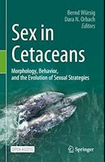 Sex in Cetaceans