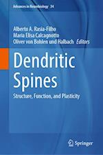 Dendritic Spines