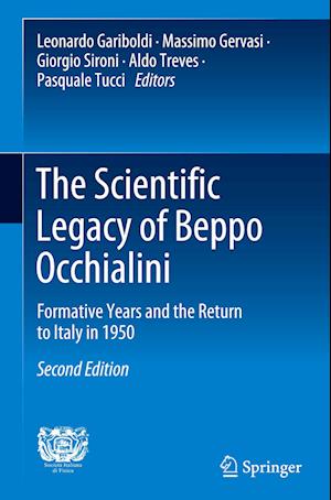 The Scientific Legacy of Beppo Occhialini