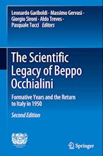 The Scientific Legacy of Beppo Occhialini