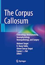 The Corpus Callosum