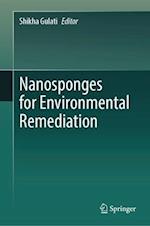 Nanosponges for Environmental Remediation