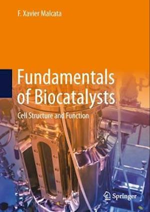 Fundamentals of Biocatalysts