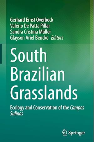 South Brazilian Grasslands