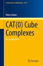 CAT(0) Cube Complexes