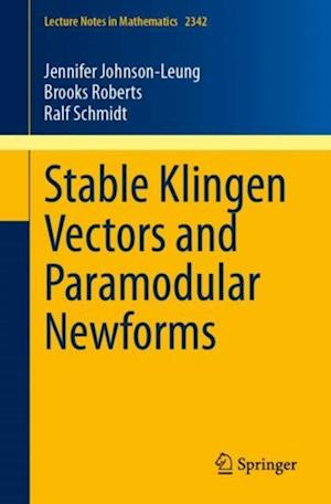 Stable Klingen Vectors and Paramodular Newforms