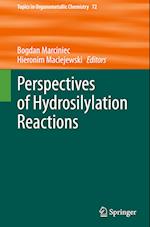 Perspectives of Hydrosilylation Reactions