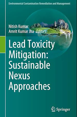 Lead Toxicity Mitigation: Sustainable Nexus Approaches