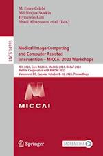 Medical Image Computing and Computer Assisted Intervention – MICCAI 2023 Workshops