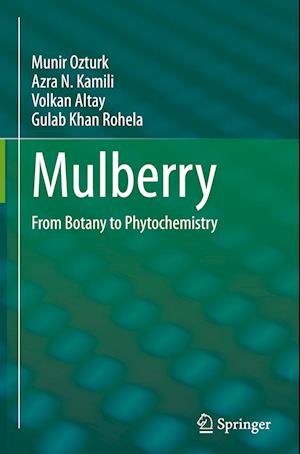 Mulberry