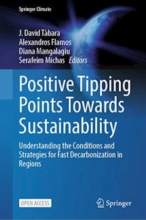 Positive Tipping Points Towards Sustainability