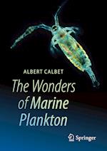 The Wonders of Marine Plankton