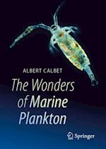 Wonders of Marine Plankton