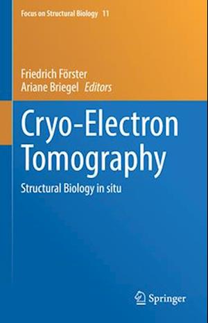 Cryo-Electron Tomography