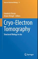 Cryo-Electron Tomography