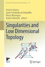 Singularities and Low Dimensional Topology