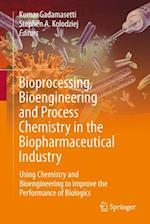 Bioprocessing, Bioengineering and Process Chemistry in the Biopharmaceutical Industry