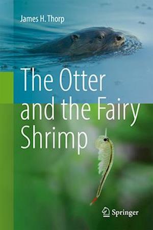 The Otter and the Fairy Shrimp