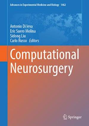 Computational Neurosurgery