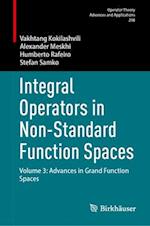 Integral Operators in Non-Standard Function Spaces