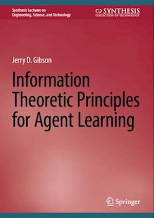 Information Theoretic Principles for Agent Learning