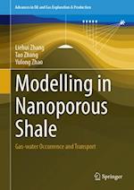 Modelling in Nanoporous Shale