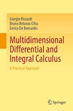 Multidimensional Differential and Integral Calculus