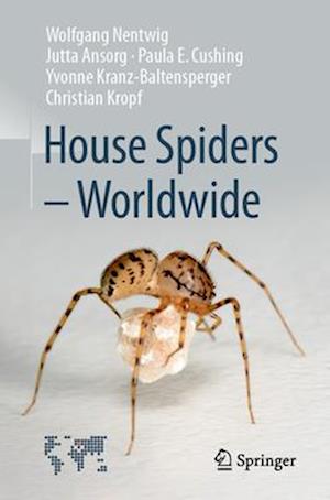 House Spiders - Worldwide