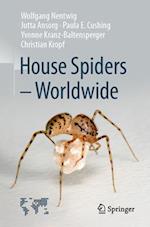 House Spiders - Worldwide