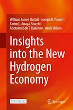 Insights Into the New Hydrogen Economy