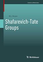 Shafarevich-Tate Groups