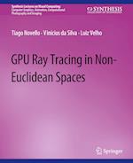 GPU Ray Tracing in Non-Euclidean Spaces